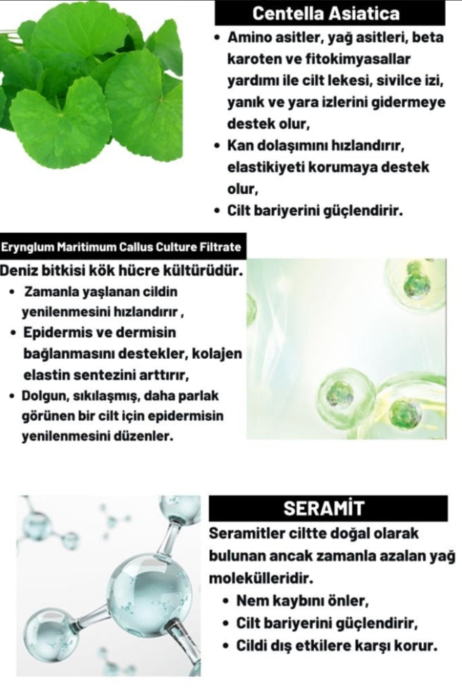 DERMAL CICAXMIDE Aydınlatıcı ve Kırışıklık Bakımı Yüz Kremi